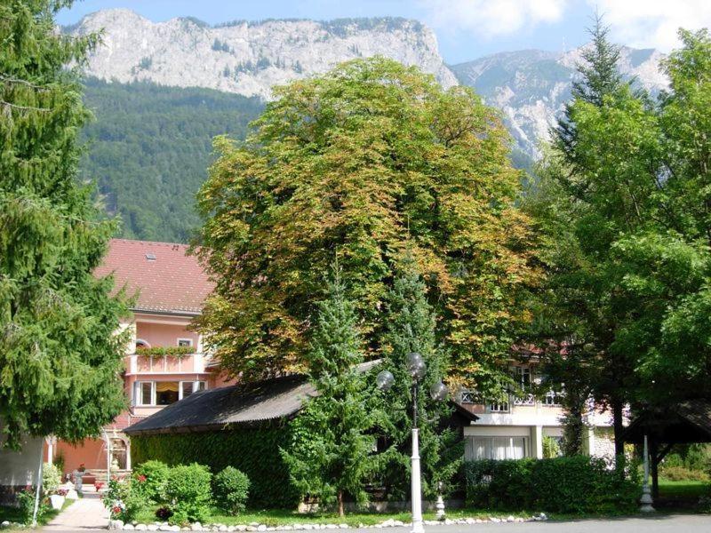 Hotel Marko Нёч Экстерьер фото